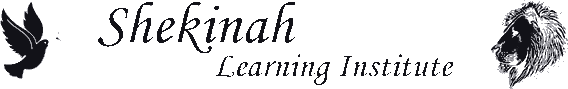 Managed IT Services | ALCON DTS: Austin, TX Best Managed IT Support Services Shekinah Learning Institute light mark